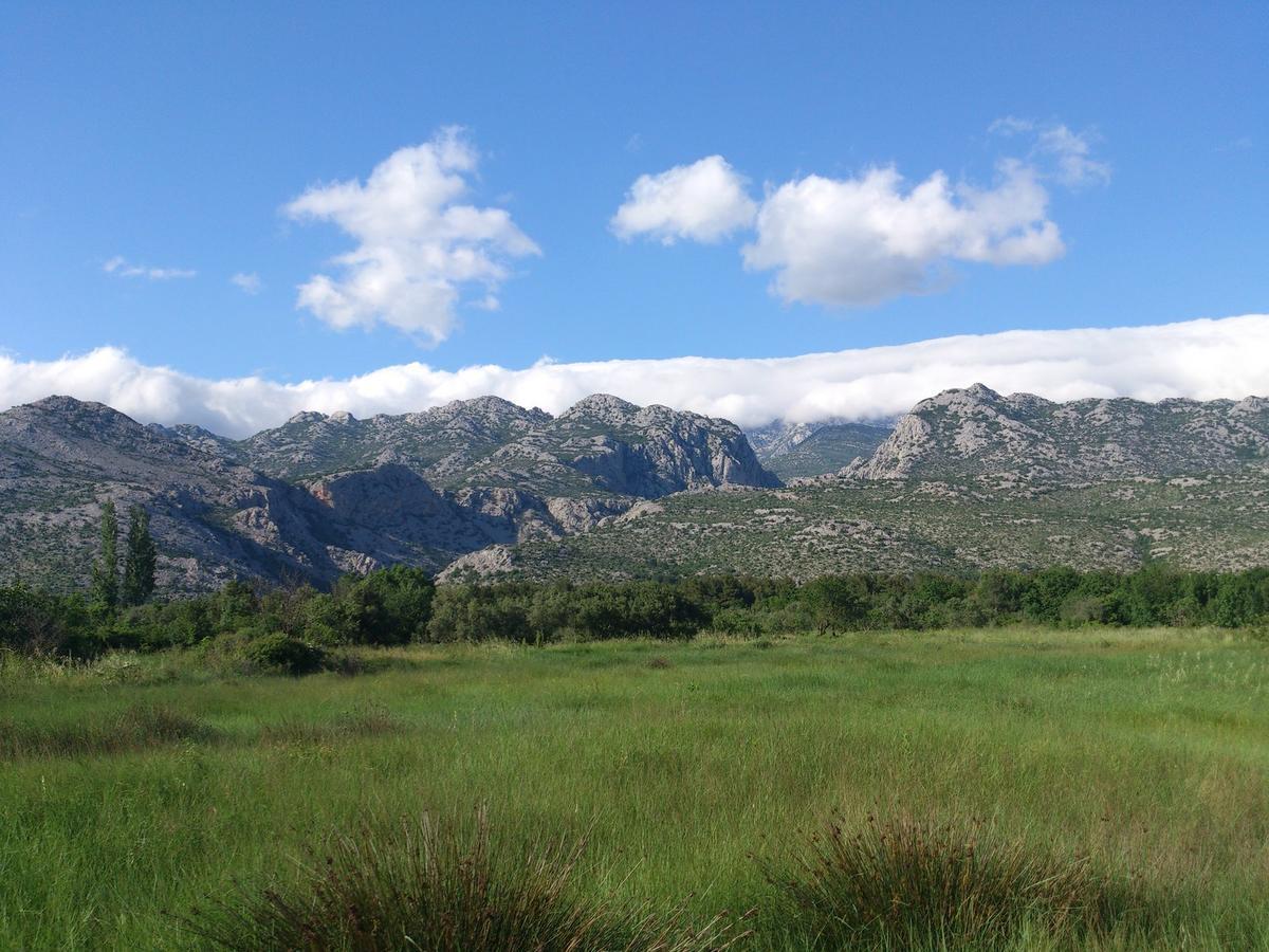 Ferienwohnung Amari Starigrad Paklenica Exterior foto
